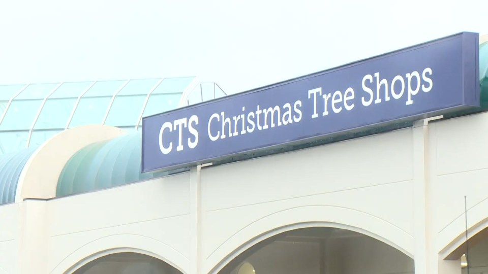 Where Can I Buy Christmas Tree Shop Gift Cards?