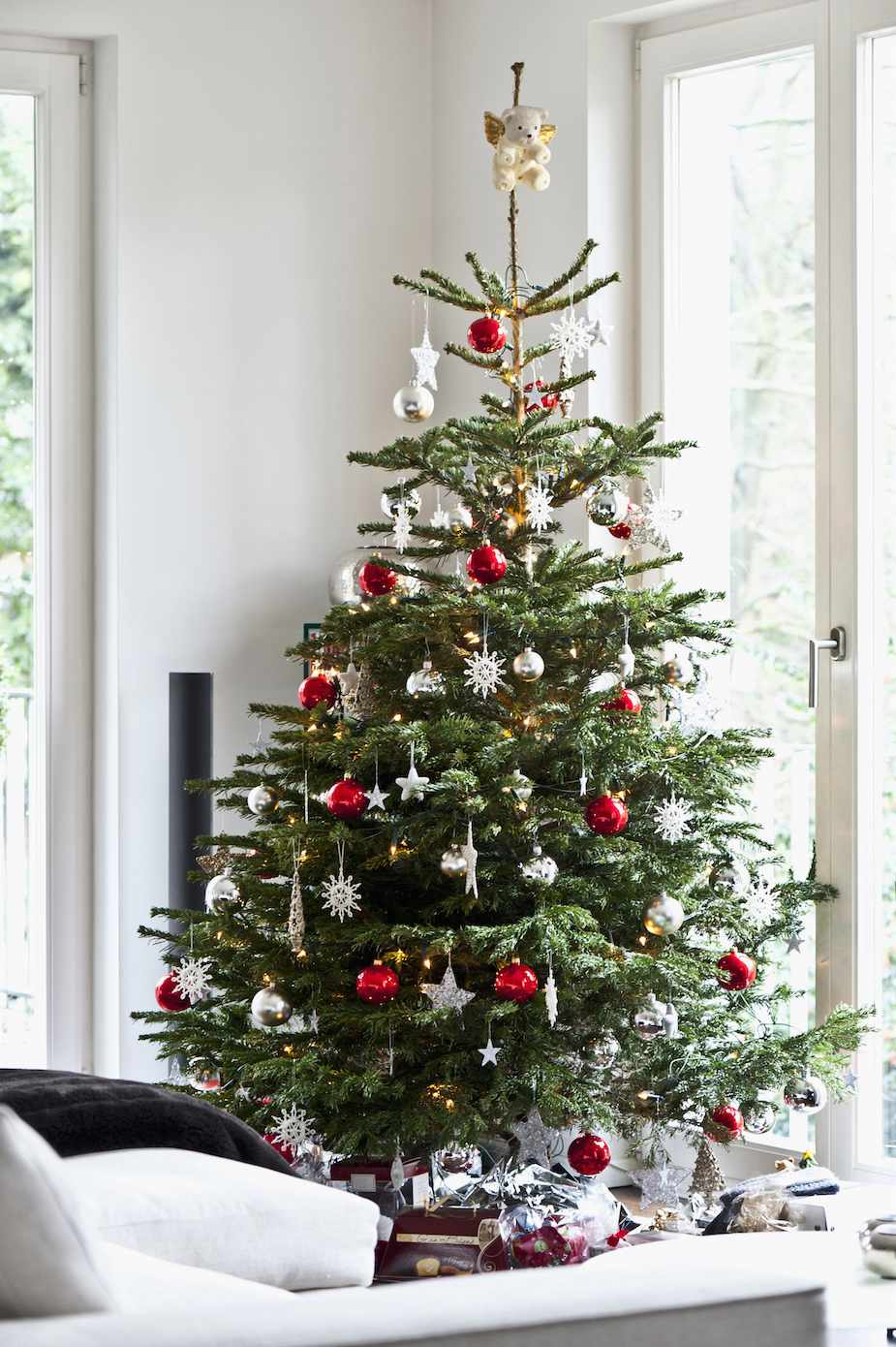 When Should You Buy A Real Christmas Tree?