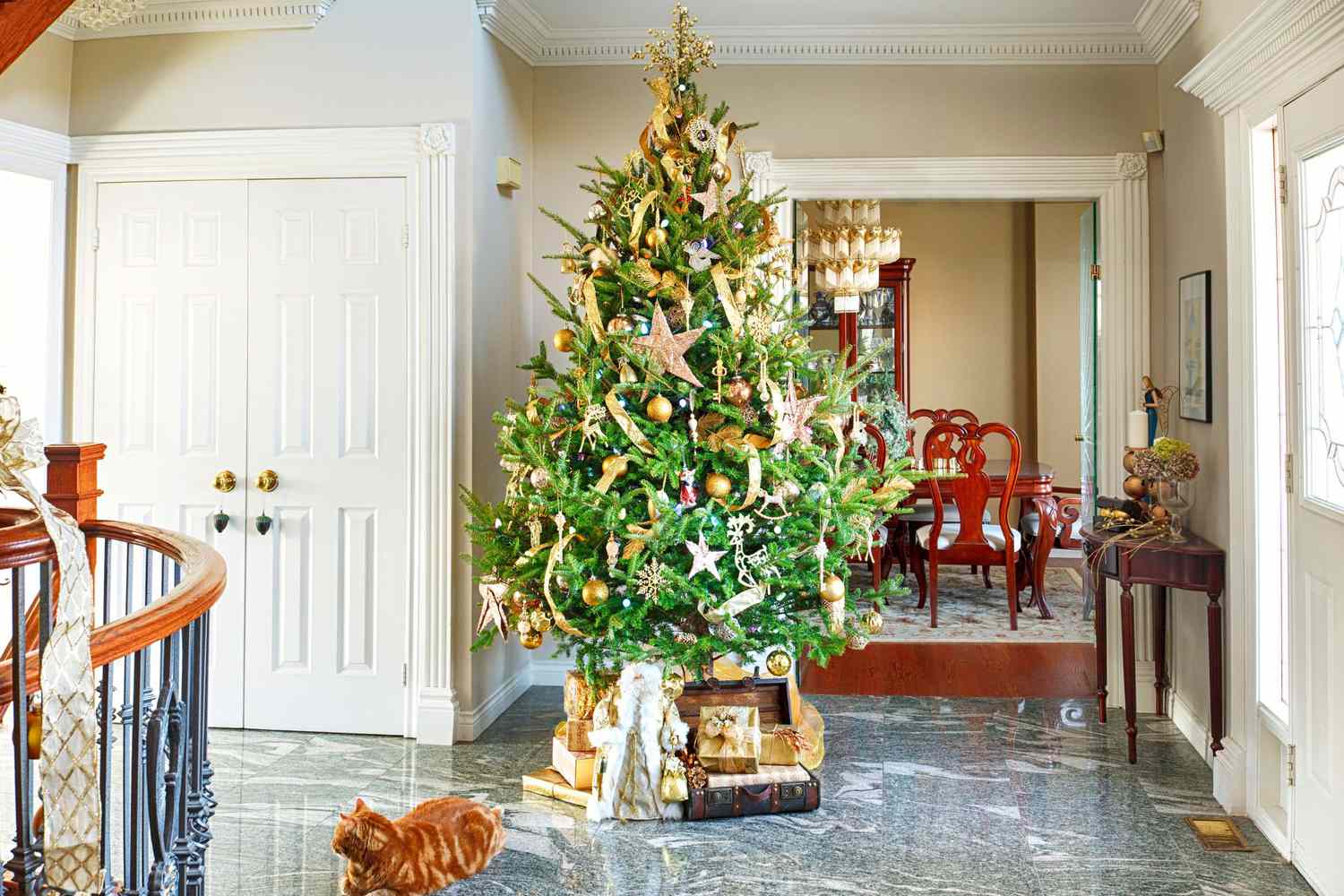 When To Buy Real Christmas Tree?